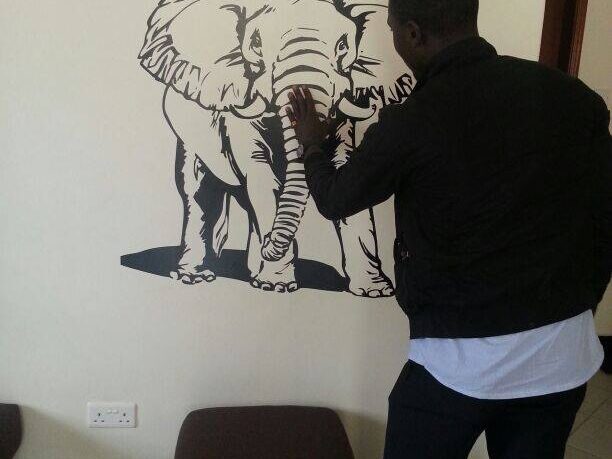 Vinyl Stickers-Decals in Kampala (73)